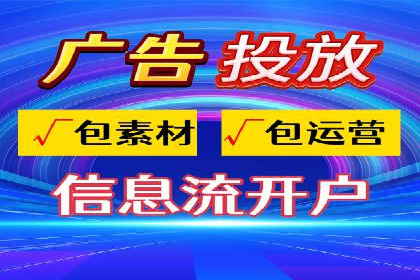 成功SEM服务案例分析报告